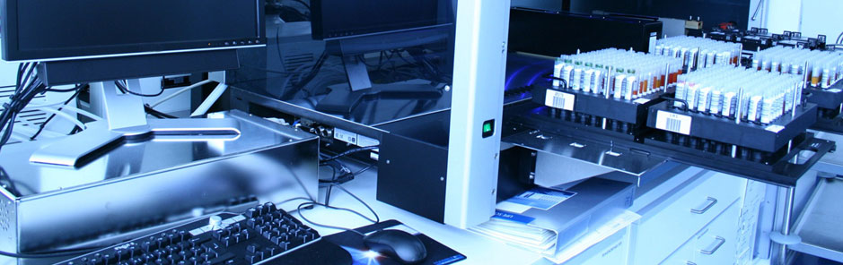 banner1.jpg