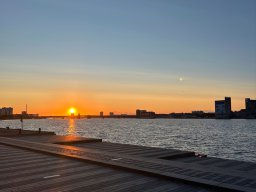 IMG_5250.jpg
